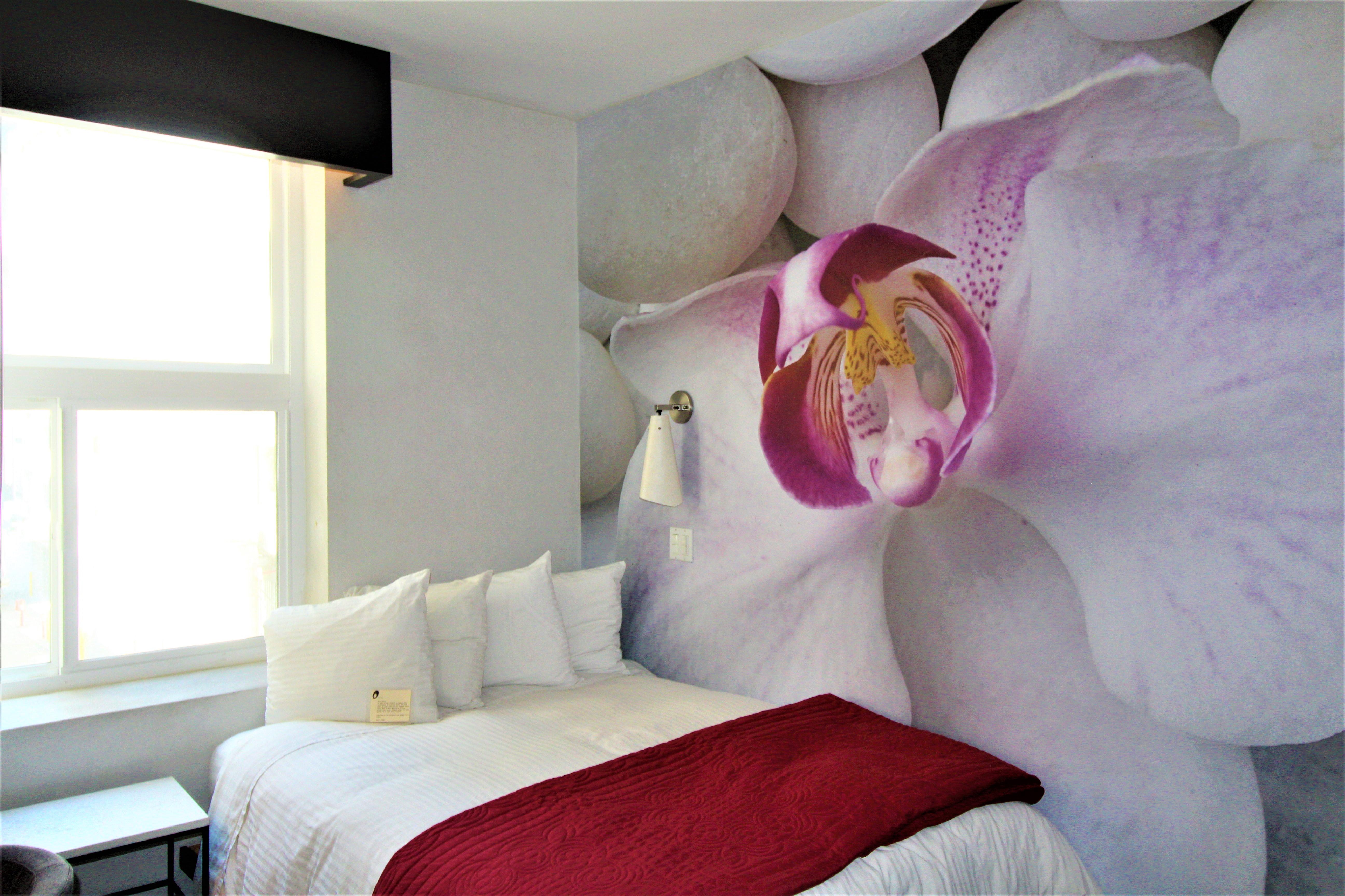 The O Hotel, Trademark Collection By Wyndham Hotel